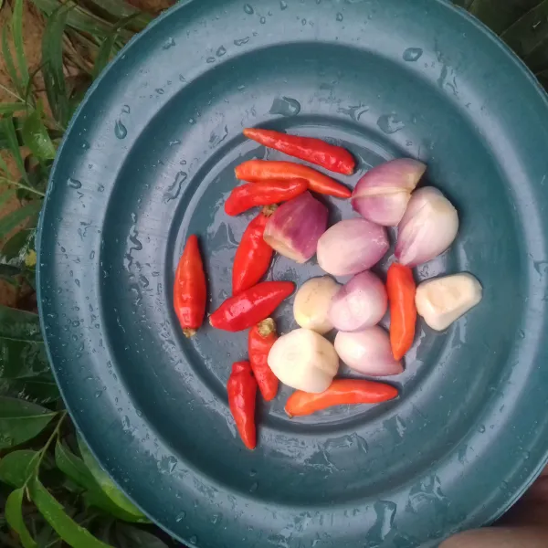 Cuci bersih bawang merah, bawang putih, dan cabe kemudian haluskan. Tambahkan juga garam dan gula merah, haluskan lagi.