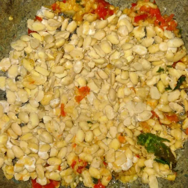 Masukan tempe hancurkan