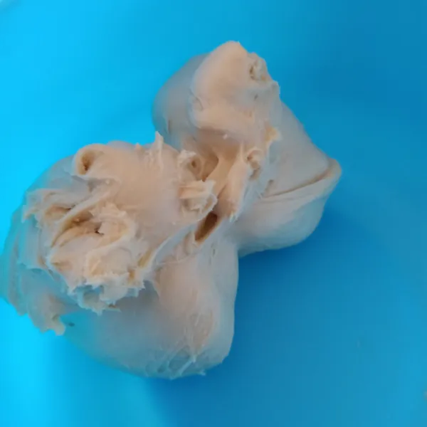 Uleni sampai kalis elastis