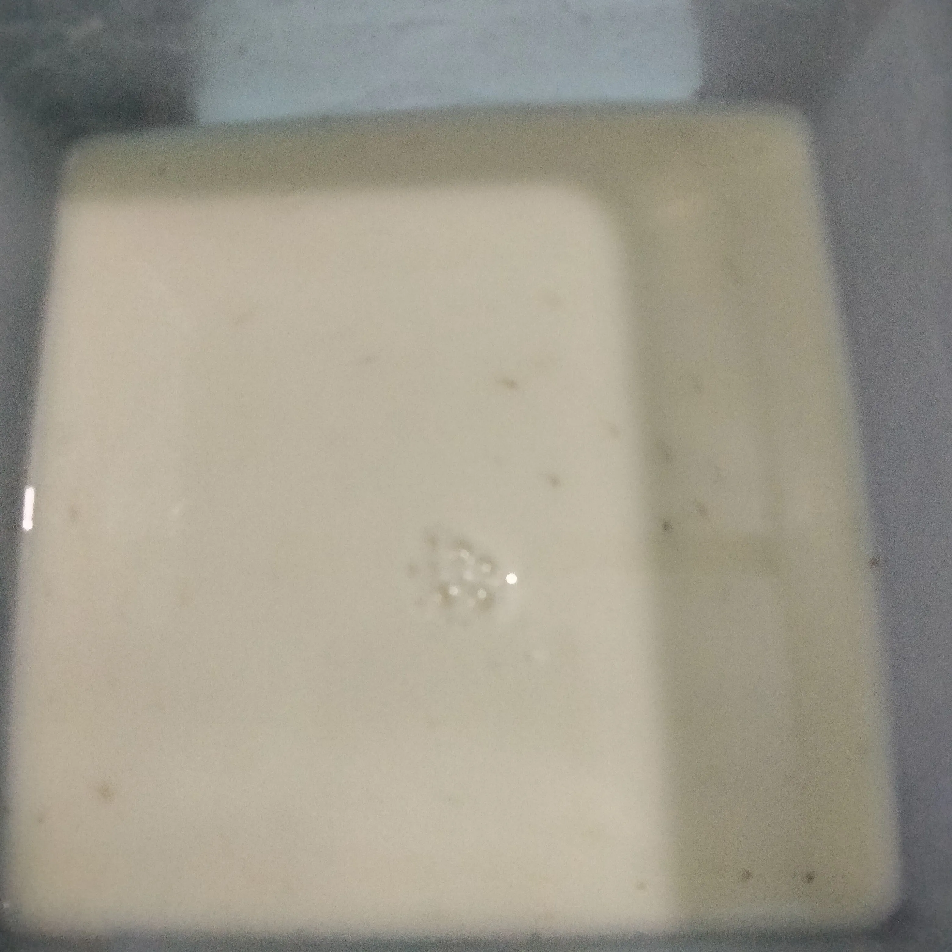 Step 3 Tahu Krispy Sederhana