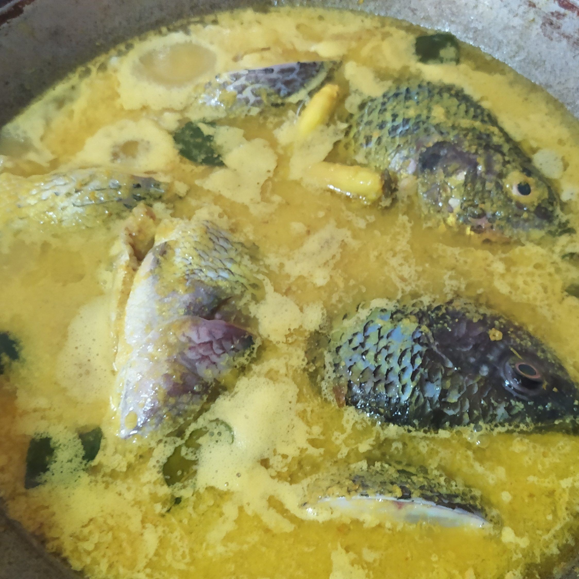 Langkah 4