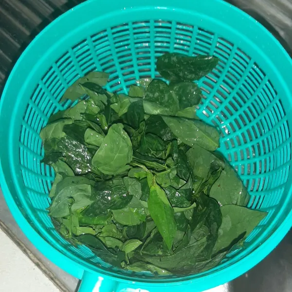 Sayur katuknya dipetik dan dicuci.