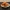 Fried Chicken Wing