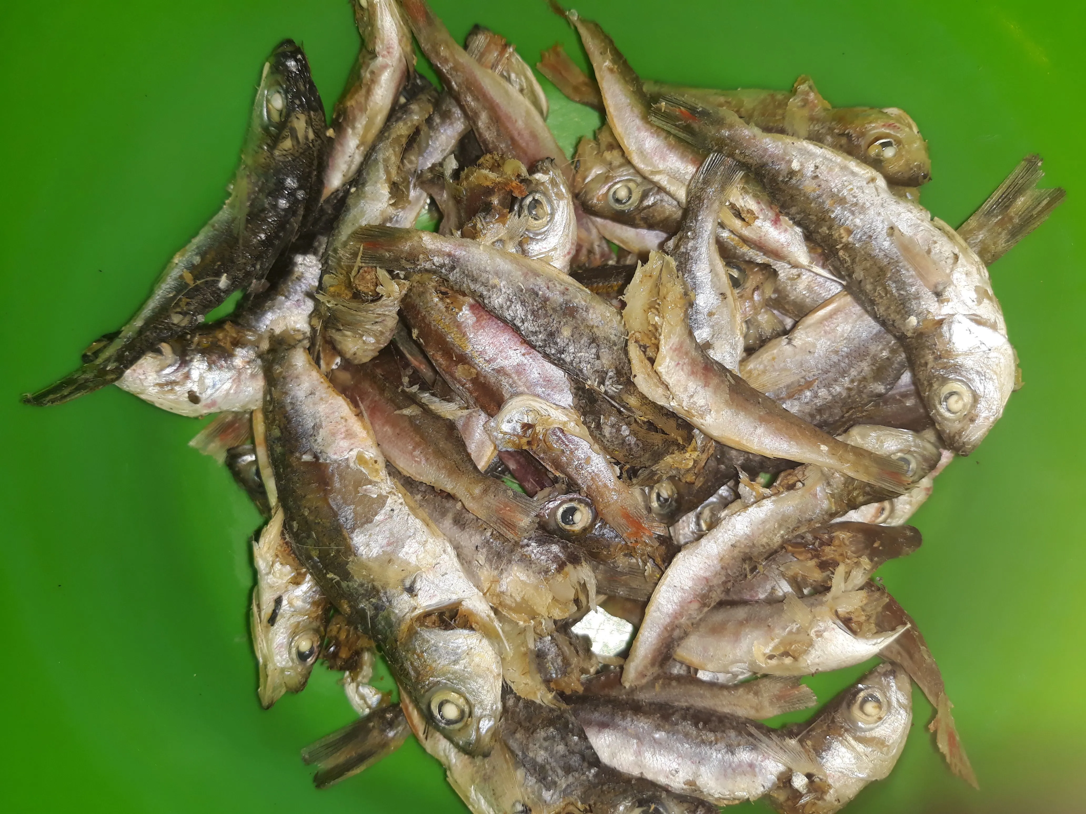 Step 1 Ikan Tamban Balado Kentang
