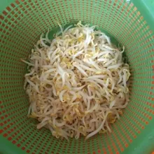 Seduh tauge dengan air panas, tiriskan