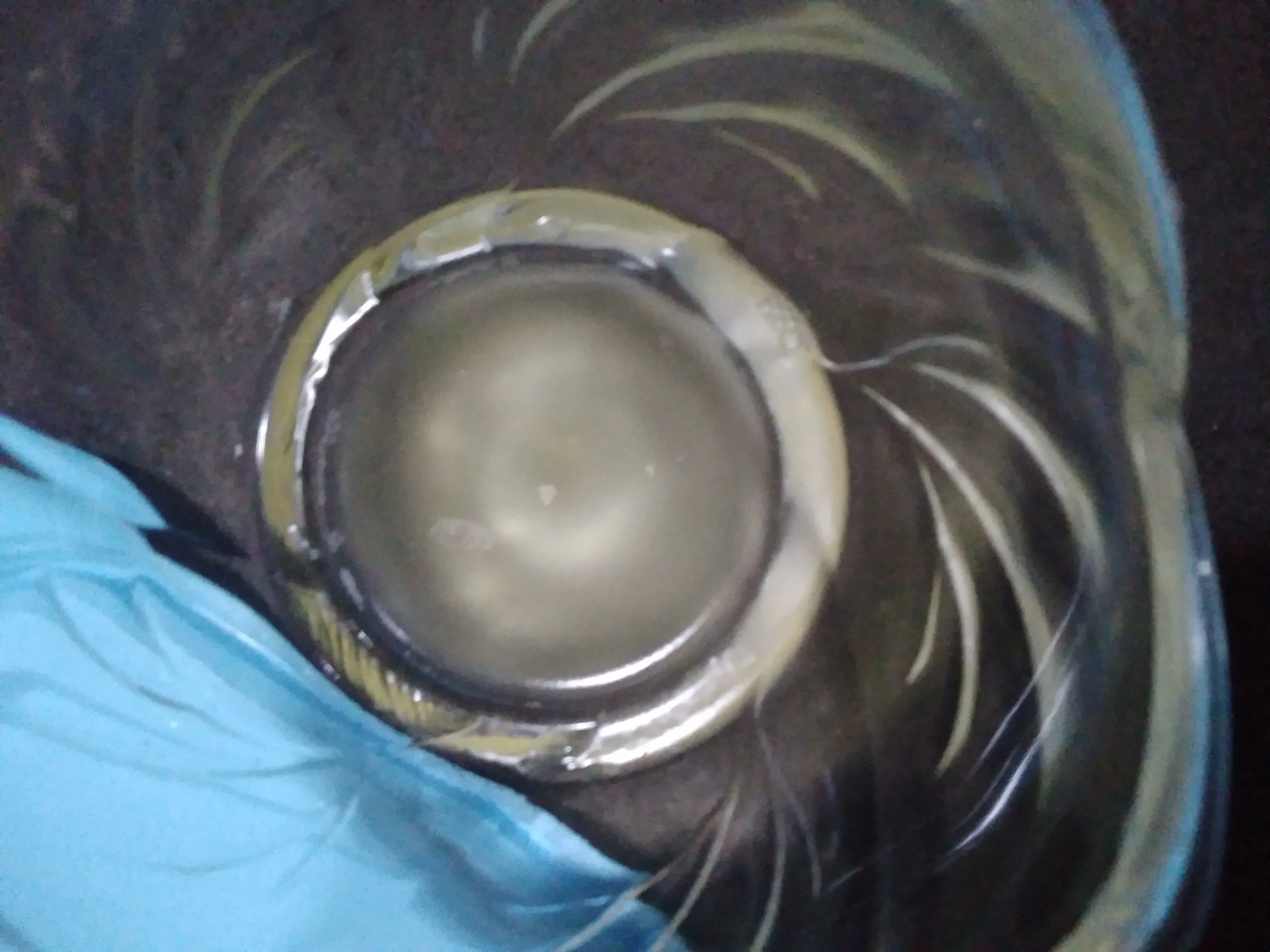 Step 7 Es Krim Buah Naga