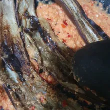 Tata terong panggang, tekan-tekan. Sajikan.