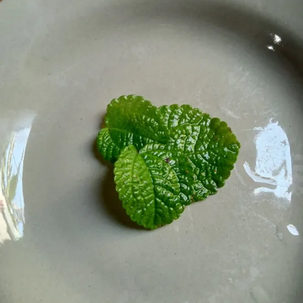 Cuci daun mint dengan air matang.