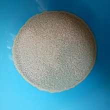 Rendam ragi dalam air hingga mengembang.