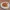 Ayam Richesee
