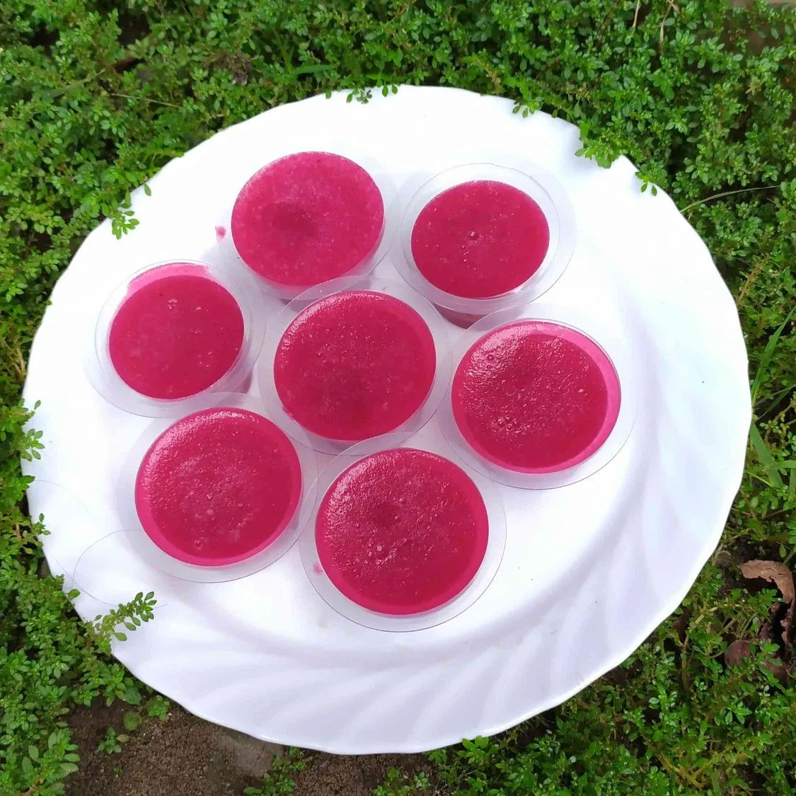 Puding Kulit Buah Naga