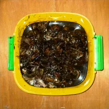 Bersihkan cumi buang tulang punggung dan gigi cumi lalu iris sesuai selera.