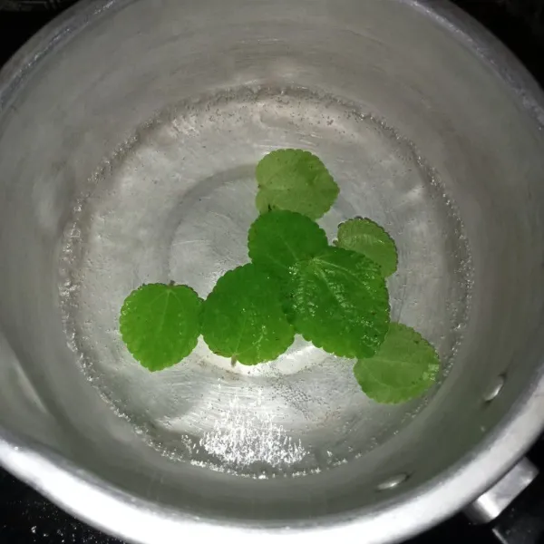 Rebus air dan daun mint hingga mendidih.