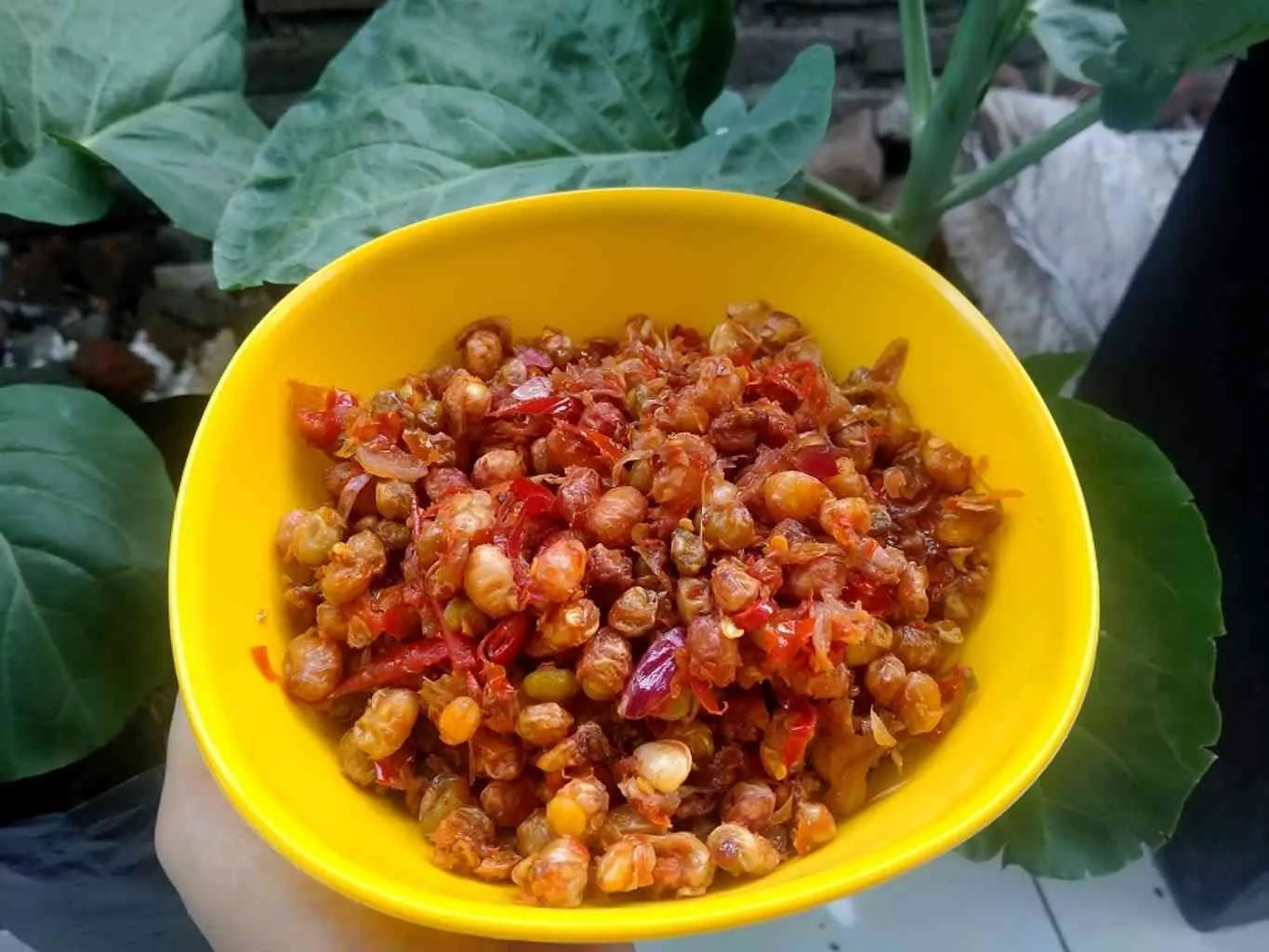 Sambal Bawang Biji Komak