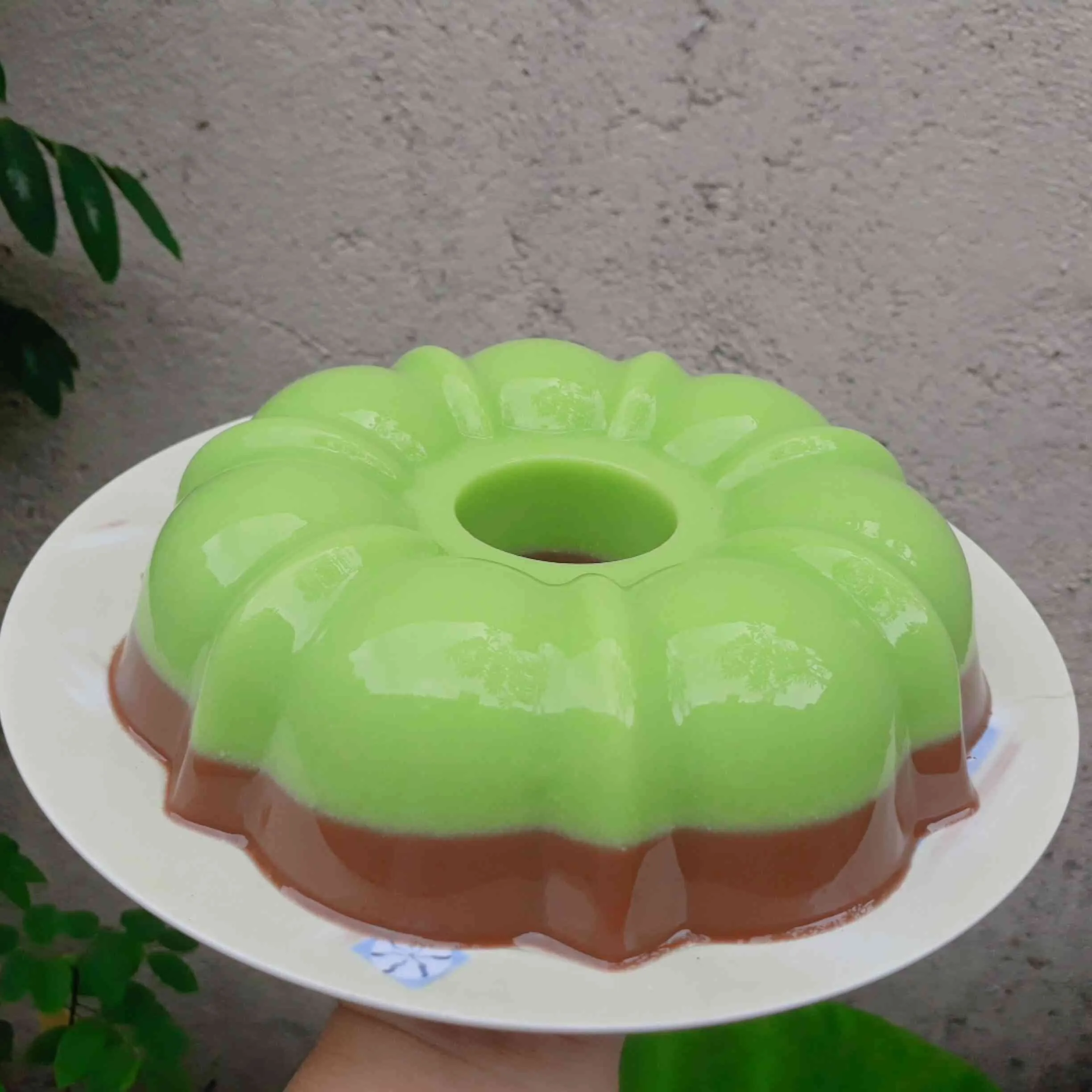 Puding Alpukat Coklat