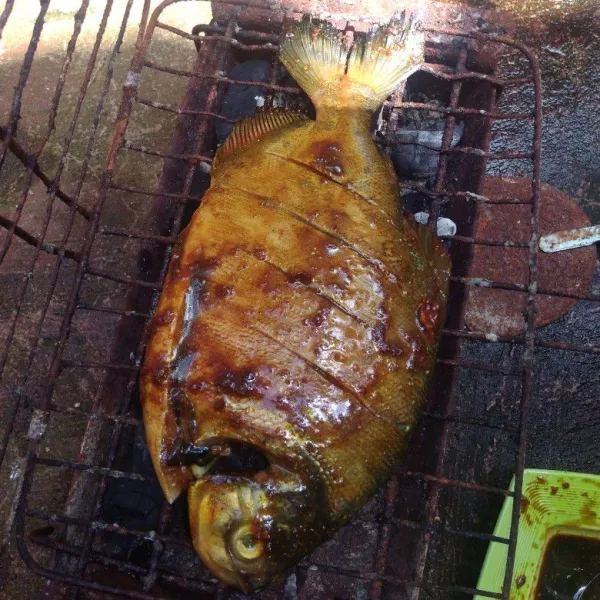 Bakar ikan diatas arang sampai matang dan sajikan ikan bakar dengan sambal kecap