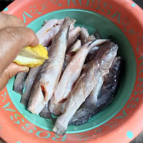 Baluri ikan dengan jeruk nipis.