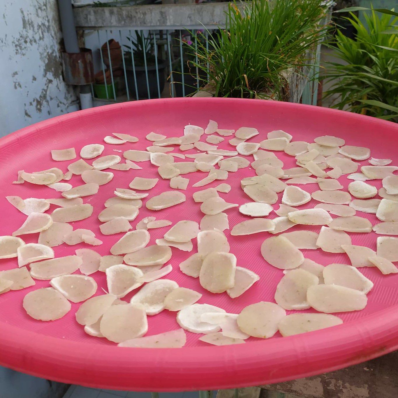 Langkah 6