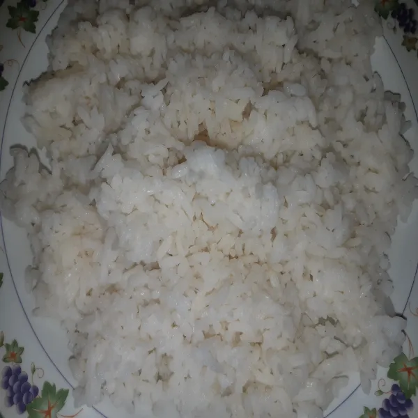Siapkan 1 piring nasi