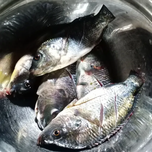 Bersihkan ikan mujair, kemudian kucuri air jeruk nipis. Diamkan 5 menit kemudian cuci bersih kembali.