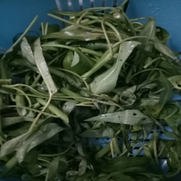 Berisihkan kangkung dan tiriskan dari air cucian