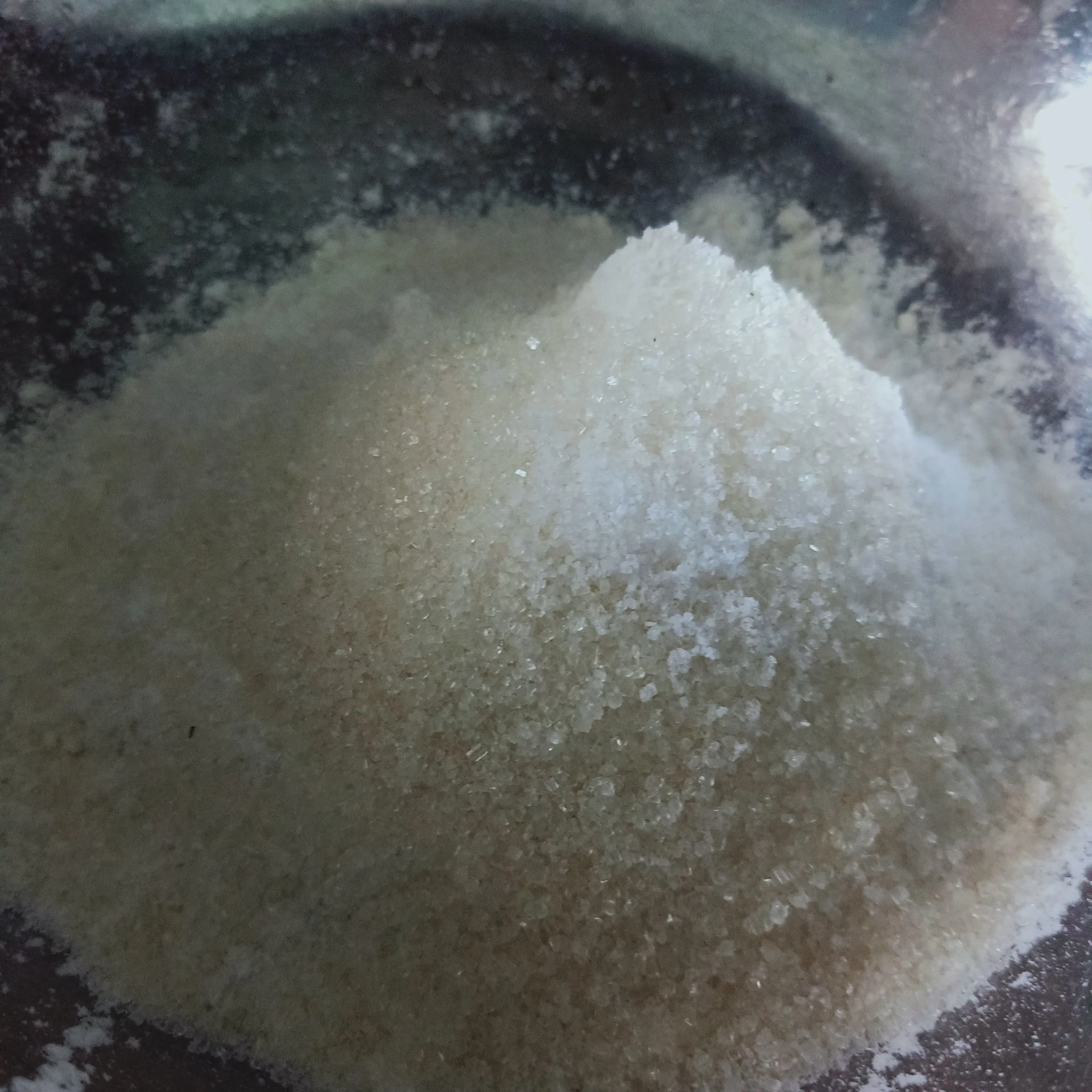 Step 1 Biji Ketapang Simple