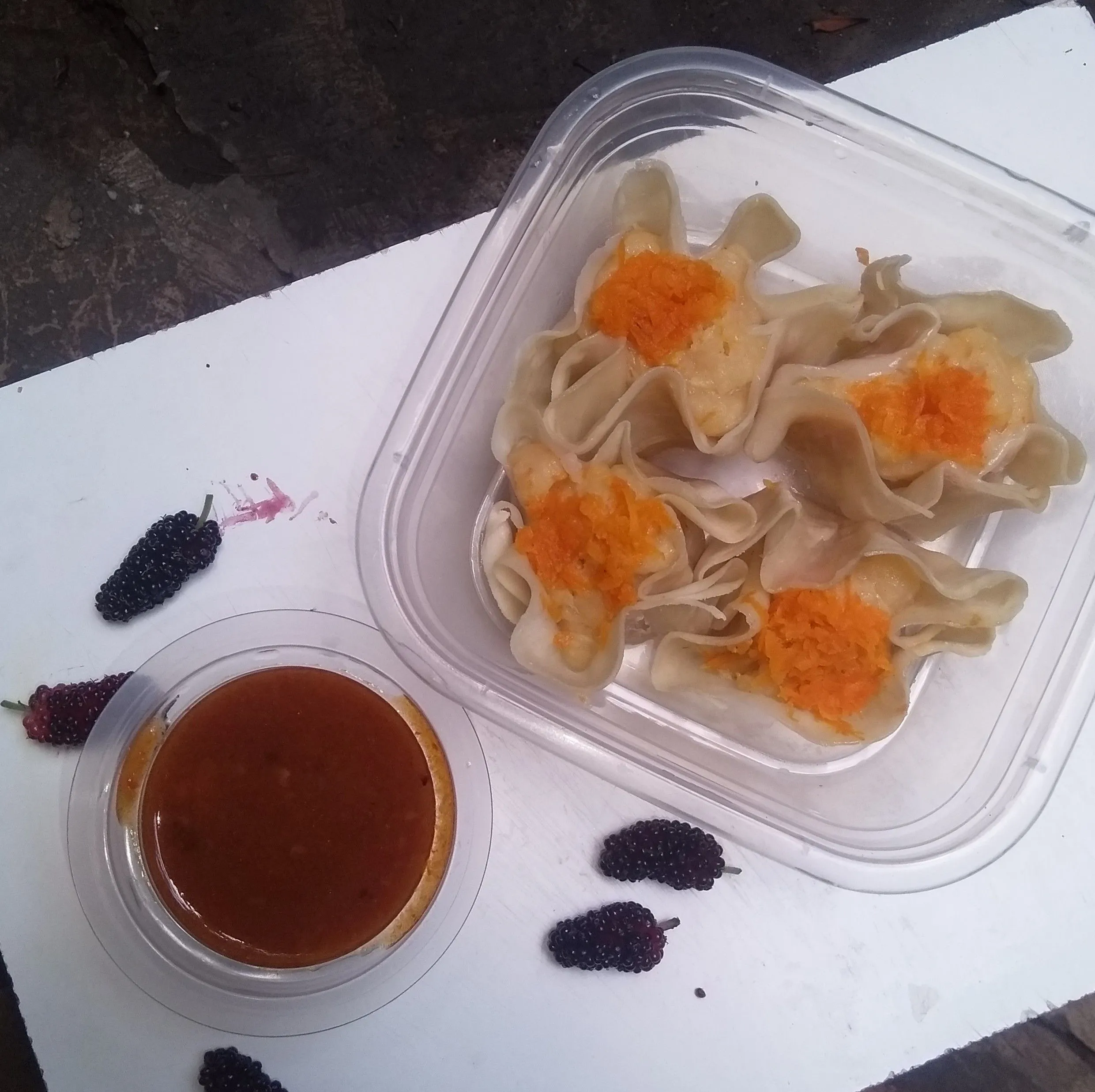 Step 8 Dimsum Ayam