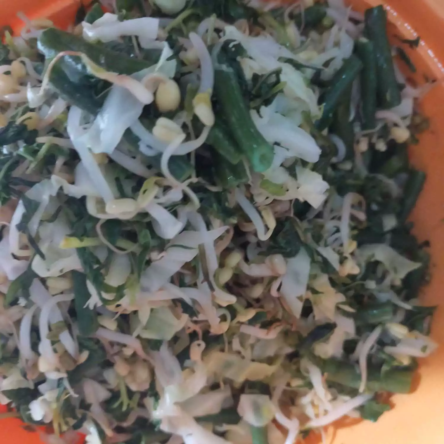 Step 4 Gudangan Sayur Kelapa Muda
