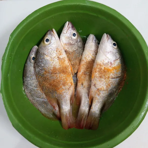 Siapkan ikan kakap. Sayat. Kemudian marinasi dengan garam,ketumbar bubuk dan kunyit bubuk selama 15 menit.