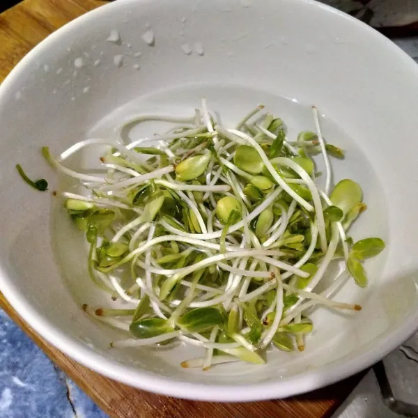 Cuci bersih microgreen bunga matahari.