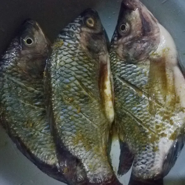 Lumuri ikan mujaer dengan bumbu Marinasi dan diamkan selama 15 menit.