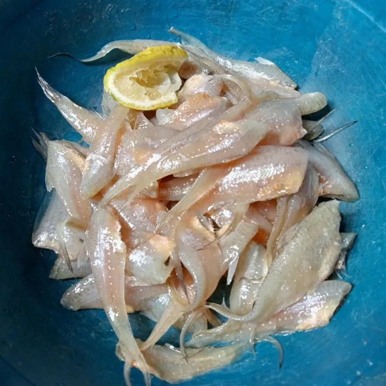 Step 1 Ikan Bulu Ayam Goreng Bumbu Kunyit