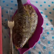 Bersihkan ikan nila, gosok dengan jeruk nipis, lalu cuci bersih.