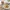 Choconut Cookies Thumbprint