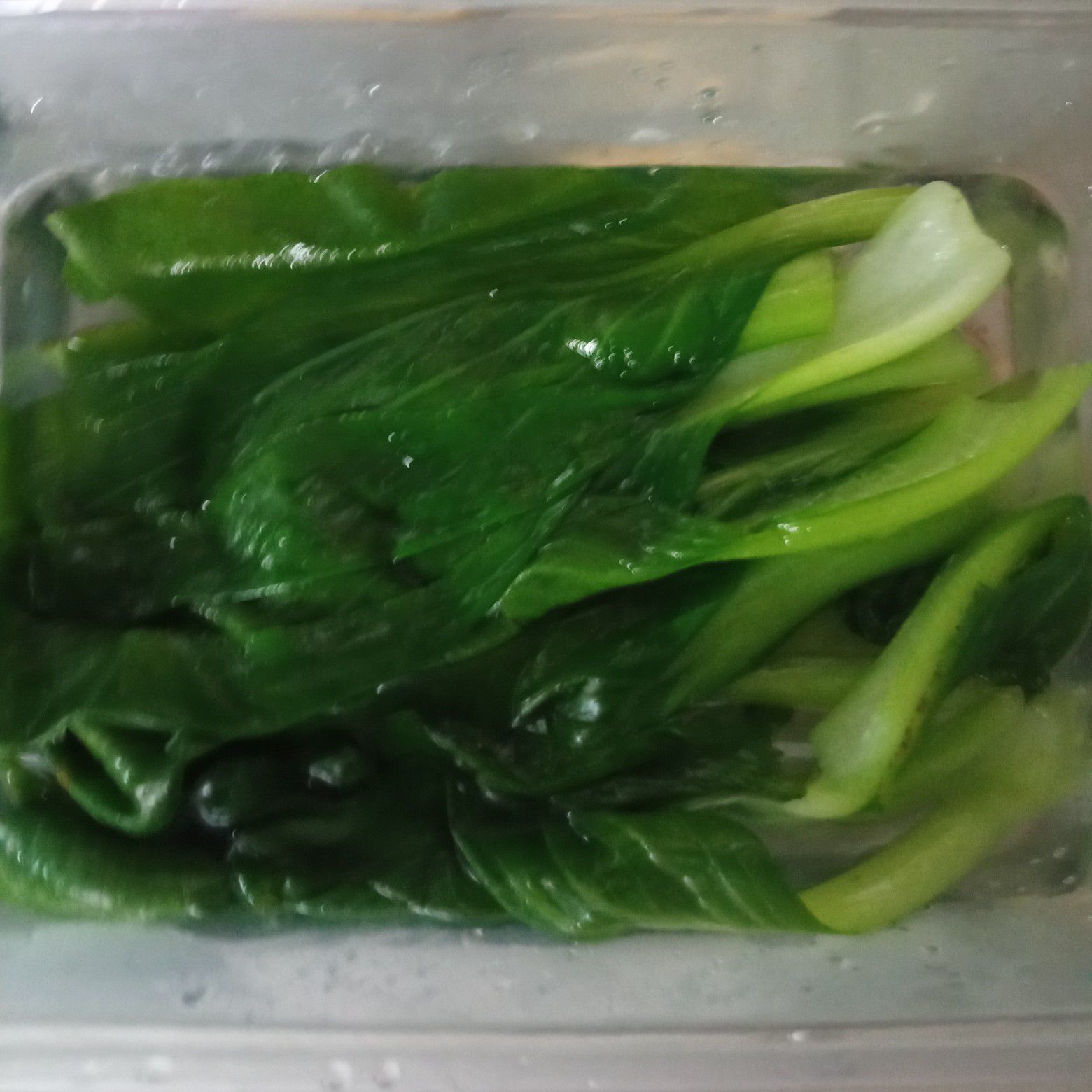 Langkah 4