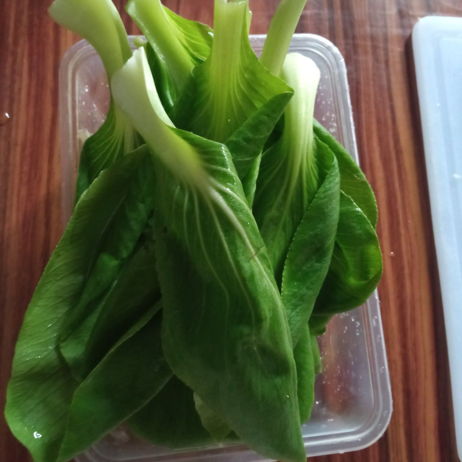 Langkah 1