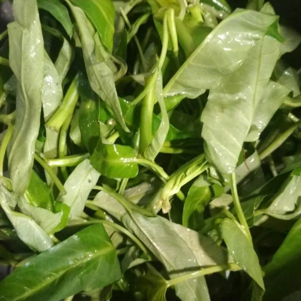 Cuci bersih kangkung yang sudah disiangi