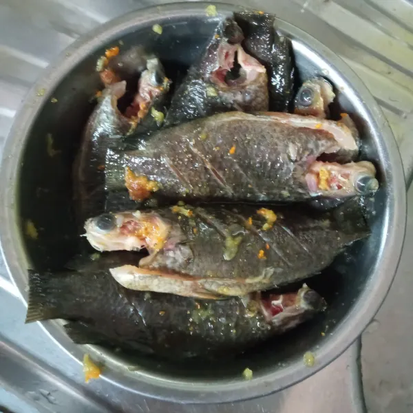 Balurkan bumbu marinasi ke ikan papuyu, lalu diamkan agar bumbu meresap selama 15 menit.