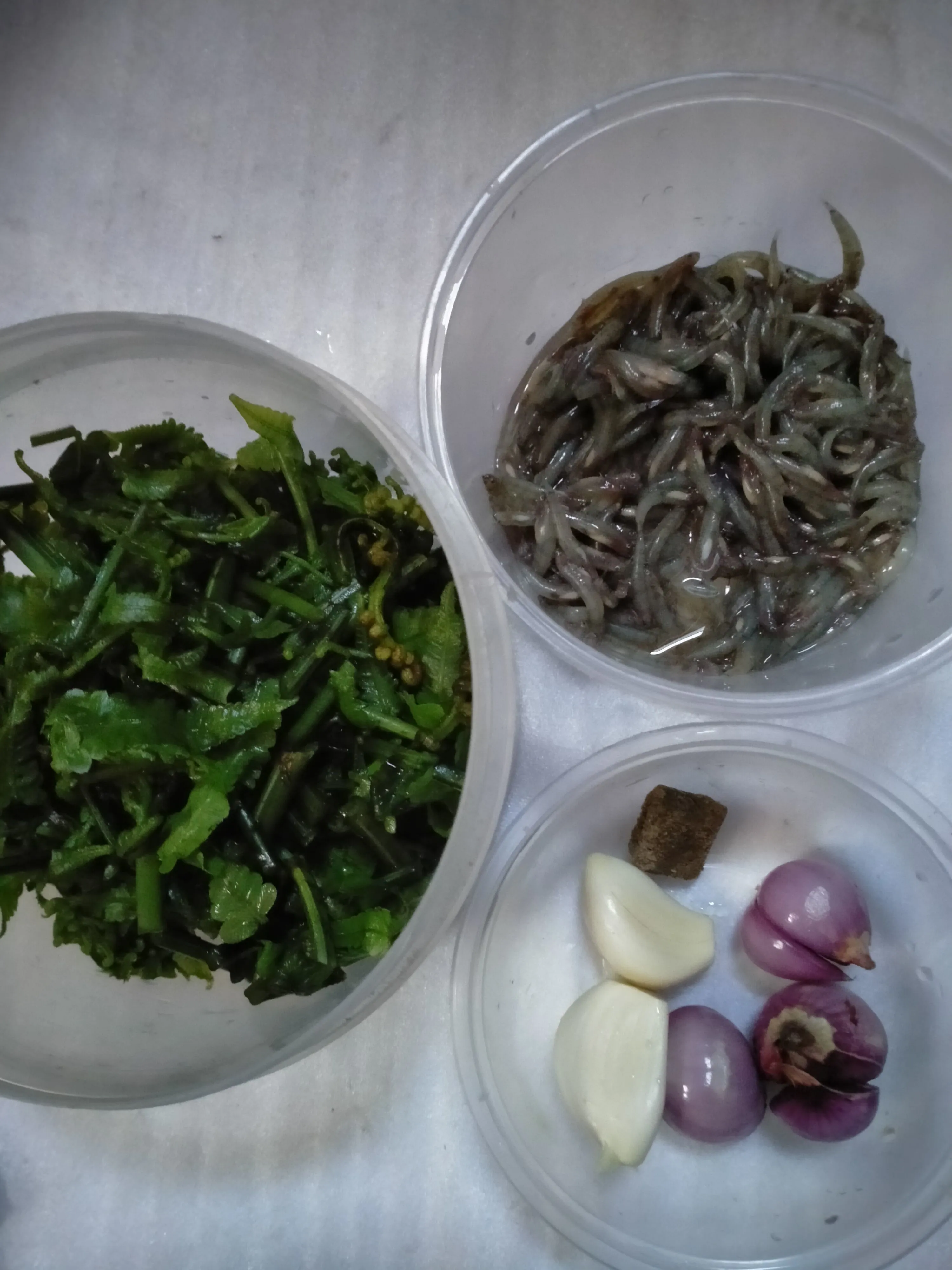 Step 1 Tumis Pakis Ipung