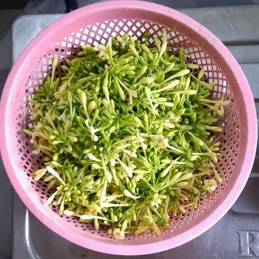 Step 1 Oseng Bunga Pepaya Rebon