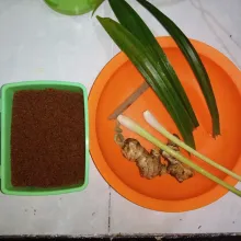 Siapkan bahan Poka. Rebus air hingga mendidih.