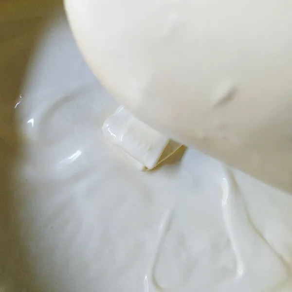 Mixer sampe ribbon stage.