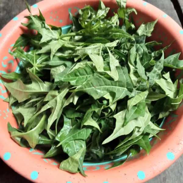 Ambil bagian yang muda dari daun pepaya jepang, lalu cuci bersih.