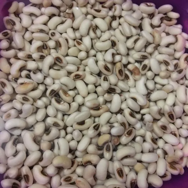 Cuci bersih lalu rendam kacang tolo minimal 24 jam, sering ganti airnya.
