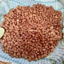 Lalu goreng dengan api sedang cenderung kecil hingga matang, angkat dan tiriskan. Biarkan hingga suhu ruang, lalu masukkan toples dan tutup rapat.
