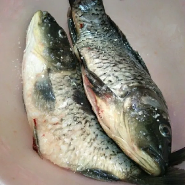 lumuri ikan mas dengan garam, kaldu jamur dan bawang putih diamkan minimal 30 menit supaya bumbu meresap.