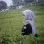 Lilih Maida