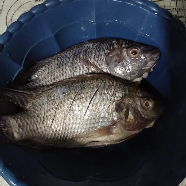Cuci bersih ikan nila
