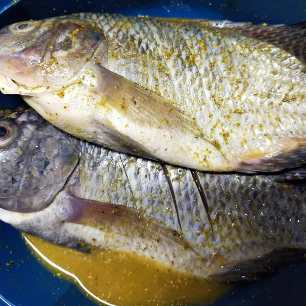 Kemudian ukep dengan bumbu dan biarkan sampai bumbu meresap