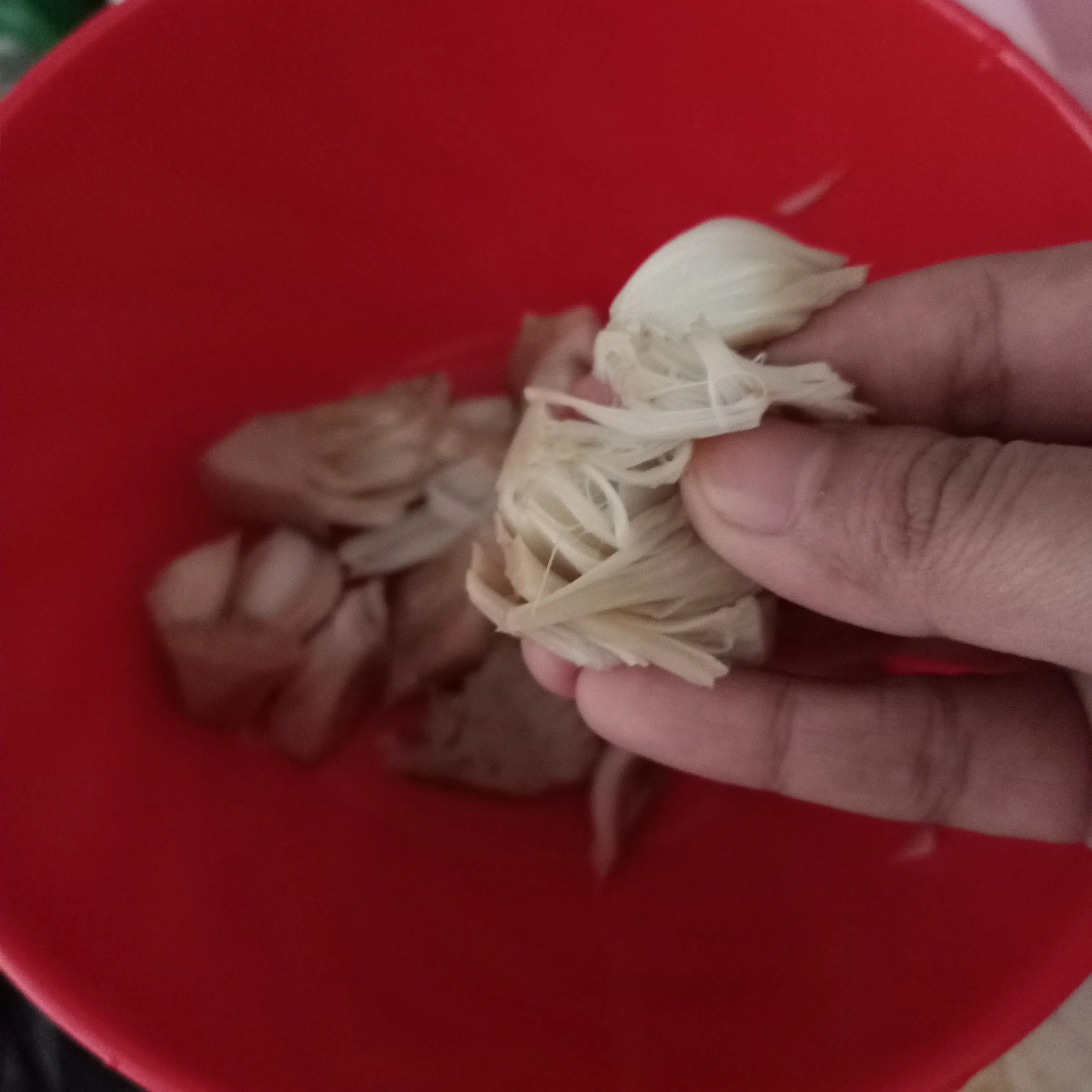 Step 2 Blendi Tewel Kacang Panjang